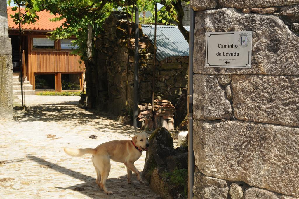 Villa Casinhas Da Levada Sobredo Exterior foto